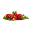 Rumba aardbeien van aardbeienplanten