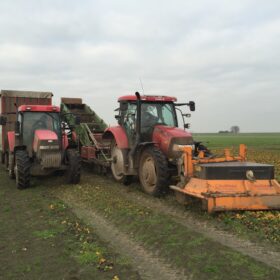 rooien van aardbeienplanten met Joep Henselmans