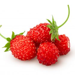 Reine des Vallees aardbeien van aardbeiplanten