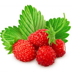 Reine des Vallees aardbeien van aardbeienplant