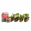 Smulpakketten powerplants, 20 stuks