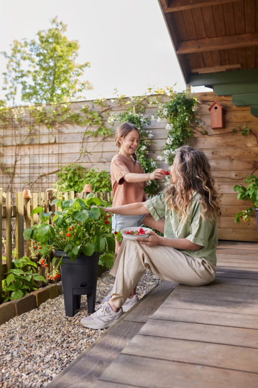 Iedereen kan genieten van zelfgekweekte aardbeien in de elho Aardbeienpot