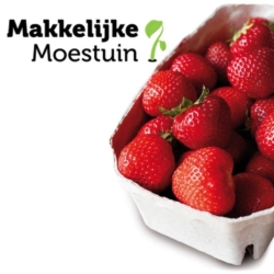 Makkelijke Moestuin Aardbeien Smulpakket